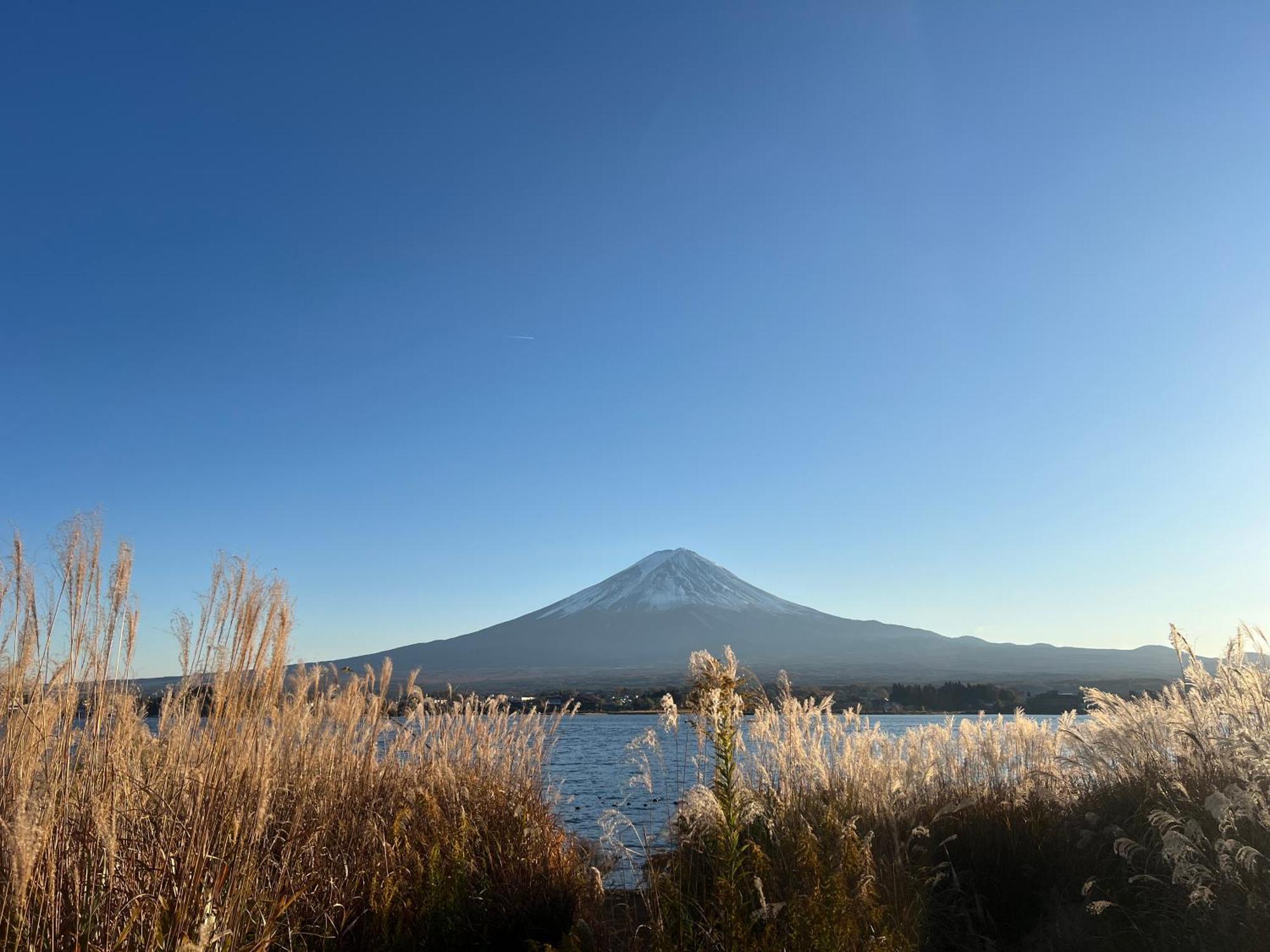 Yujo Mt Fuji Base Villa *